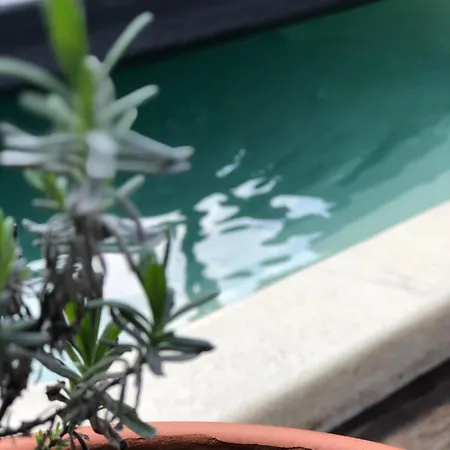 Chalé Ibiza Met Verwarmde Zwembad En Wifi Voorthuizen