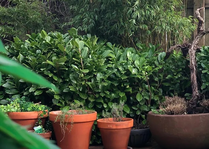 Ibiza Met Verwarmde Zwembad En Wifi Alpstuga