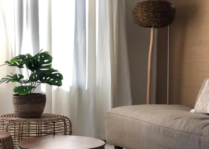 Ibiza Met Verwarmde Zwembad En Wifi * Voorthuizen